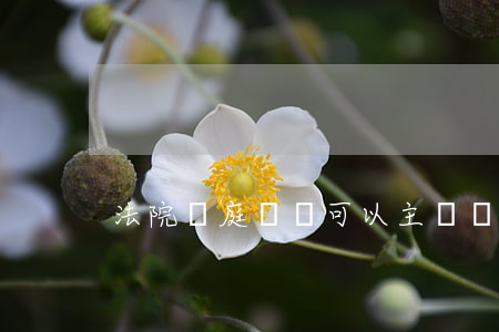 法院開庭廳長可以主審嗎(法院庭長還是廳長)