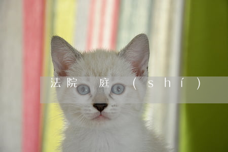 法院開庭時(shí)間可以改第二天嗎