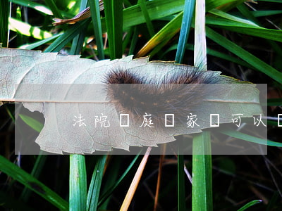 法院開庭時家屬可以錄音嗎(開庭能錄音嗎)
