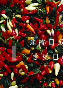 法院開庭朋友可以到場嗎(法院起訴開庭必須要到現(xiàn)場的嗎)
