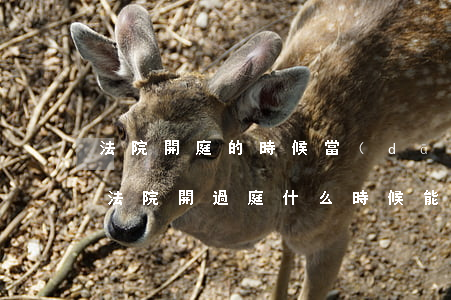 法院開庭的時候當(dāng)天可以判嗎(法院開過庭,什么時候能拿到判決?)