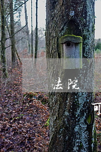 法院開庭的時間可以隨意改變嗎(法院開庭的時間可以隨意改變嗎)