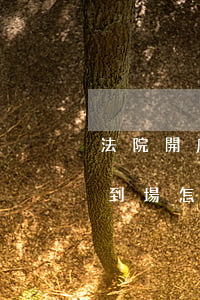 法院開庭被告不到場可以判決嗎(開庭被告不到場怎么辦還會開庭嗎?)