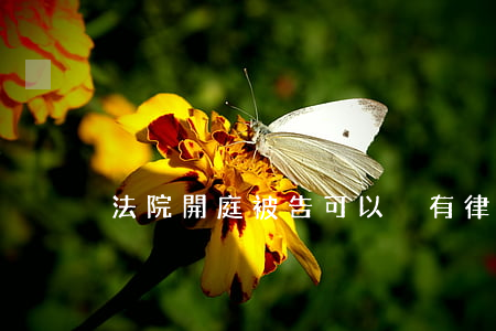 法院開庭被告可以沒有律師嗎