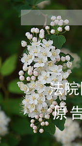 法院開庭被告應(yīng)該怎么做(作為原告在法庭上應(yīng)該怎樣做)