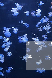 法院開庭親戚可以當(dāng)證人嗎(親戚可以上法庭作證嗎)
