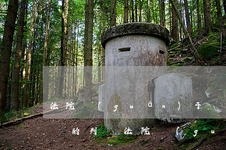 法院關(guān)于對(duì)借錢不還的判決（法院關(guān)于對(duì)借錢不還的）