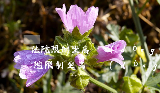 法院限制坐高鐵動(dòng)車可以嗎(法院限制坐高鐵動(dòng)車可以嗎)