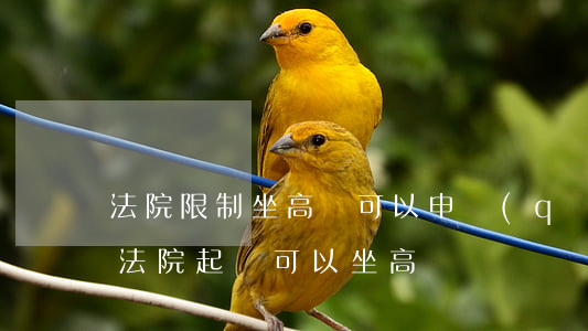 法院限制坐高鐵可以申請(qǐng)嗎(被法院起訴可以坐高鐵嗎)