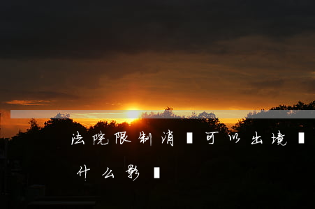 法院限制消費可以出境嗎(法院限制消費令有什么影響)