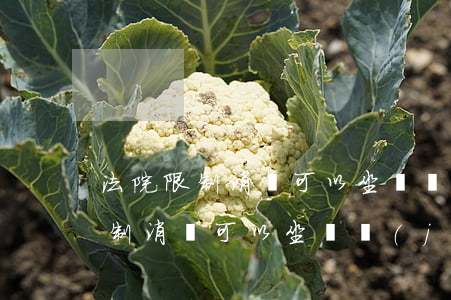 法院限制消費可以坐飛機(jī)嗎(法院限制消費可以坐飛機(jī)嗎)
