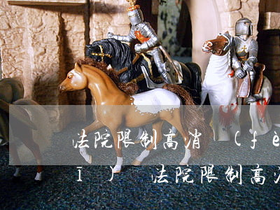法院限制高消費(fèi)可以坐飛機(jī)嗎(法院限制高消費(fèi)怎么樣可以坐飛機(jī))