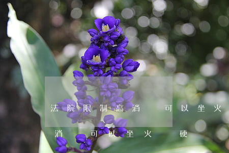 法院限制高消費可以坐火車嗎(被法院限制高消費可以坐火車硬臥嗎)