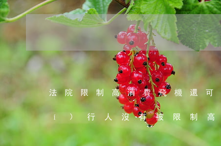 法院限制高消費飛機還可以坐嗎(被執(zhí)行人沒有被限制高消費可以坐飛機嗎)