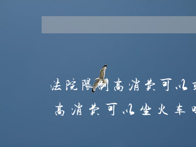 法院限制高消费可以乘坐飞机吗(被法院限制高消费可以坐火车吗)