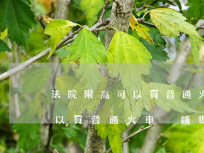 法院限高可以買普通火車臥鋪嗎(法院限高可以買普通火車臥鋪嗎)