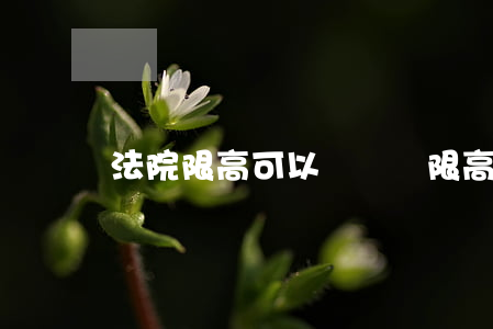 法院限高可以賣車嗎(限高人員能買車嗎)