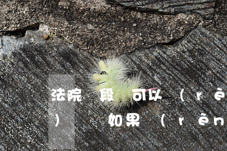 法院階段還可以認(rèn)罪認(rèn)罰嗎(如果認(rèn)罪認(rèn)罰后期不承認(rèn)可以嗎)