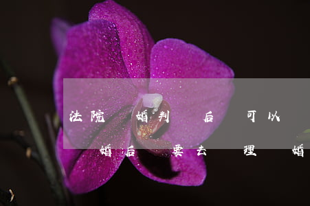 法院離婚判決后還可以辦離婚證嗎(法院判決離婚后還要去辦理離婚登記嗎)