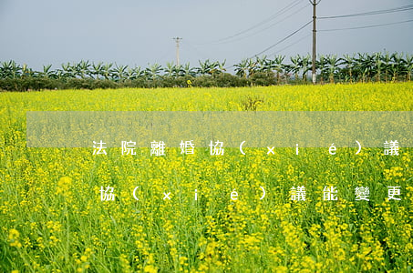 法院離婚協(xié)議后可以再變嗎(離婚協(xié)議能變更嗎)
