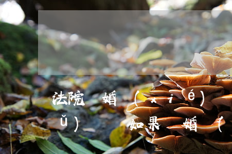 法院離婚協(xié)議書丟了可以補(bǔ)辦嗎(如果離婚協(xié)議書丟了怎么辦)