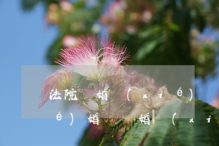 法院離婚協(xié)議書可以再結(jié)婚嗎(離婚協(xié)議書可以申請(qǐng)法院執(zhí)行嗎)