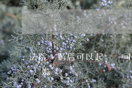 法院離婚后可以起訴嗎(可以直接去法院起訴離婚嗎?)