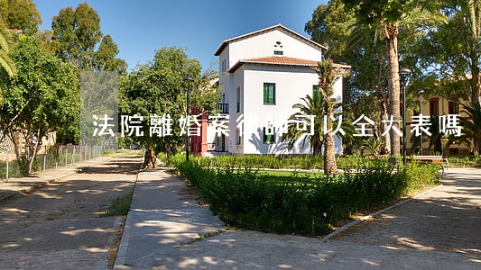 法院離婚案律師可以全大表嗎