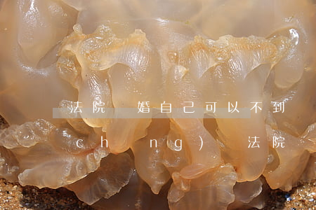 法院離婚自己可以不到現(xiàn)場(chǎng)嗎(法院離婚不到場(chǎng)什么結(jié)果)