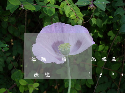 法院離婚訴訟流程及費(fèi)用(離婚案法院訴訟費(fèi)收費(fèi)標(biāo)準(zhǔn))