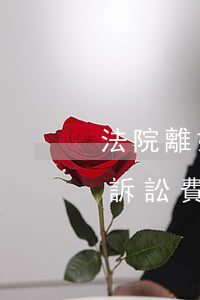 法院離婚訴訟費用大概多少(法院判離婚案的訴訟費一般多少)