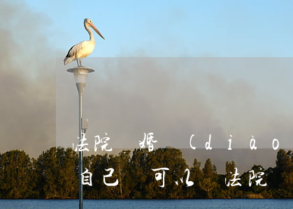 法院離婚調(diào)解協(xié)議自己寫可以嗎(法院離婚調(diào)解協(xié)議書和離婚調(diào)解書的區(qū)別)