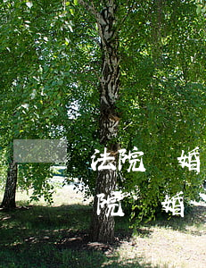 法院離婚調(diào)解可以帶親屬嗎(法院離婚調(diào)解親屬能發(fā)言嗎)