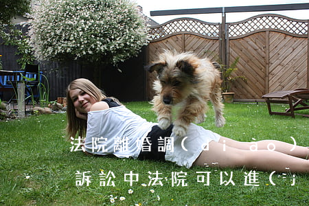 法院離婚調(diào)解可以拒絕嗎(離婚訴訟中法院可以進(jìn)行調(diào)解嗎)