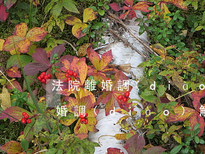 法院離婚調(diào)解室不去可以嗎(離婚調(diào)解要不要去)