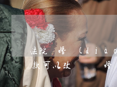法院離婚調(diào)解書(shū)條款可以改變嗎(離婚協(xié)議書(shū)更改是不是要去法院)