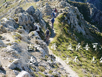 法院離婚開庭原告可以不去嗎(起訴了離婚,要是開庭被告不來怎么辦)