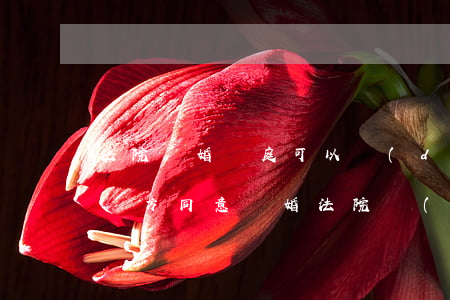 法院離婚開庭可以當(dāng)庭判決嗎(雙方同意離婚法院會(huì)當(dāng)庭宣判嗎)
