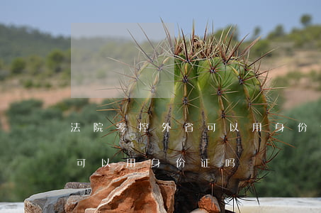 法院零控外省可以用身份证吗(法院零控外省可以用身份证吗)