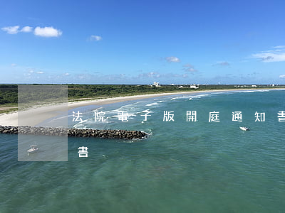 法院電子版開庭通知書(法院電子版開庭通知書)