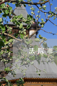 法院非工作日可以立案嗎(法院周末立案嗎)