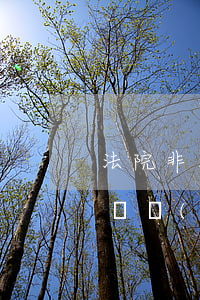 法院非法拍賣房產(chǎn)可以追回嗎(遺產(chǎn)房法院可以拍賣查封嗎)