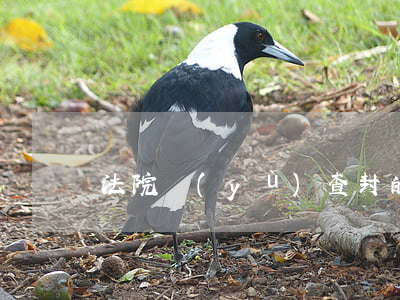 法院預(yù)查封的房子可以處置嗎