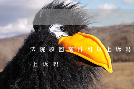 法院驳回案件可以上诉吗(判决驳回起诉可以上诉吗)