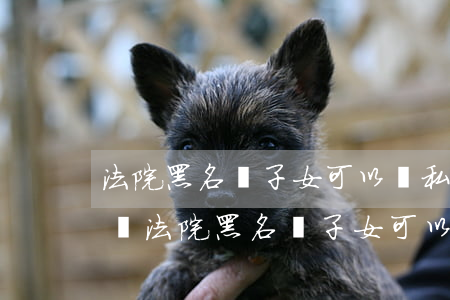 法院黑名單子女可以讀私立學(xué)校嗎(法院黑名單子女可以讀私立學(xué)校嗎)
