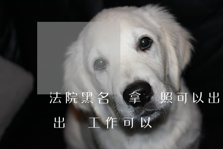 法院黑名單拿護照可以出國嗎(黑名單辦護照出國工作可以嗎)