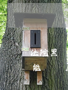 法院黑戶可以辦房產(chǎn)證嗎(黑戶能過戶房產(chǎn)嗎)