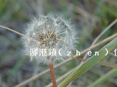 泖港鎮(zhèn)債務律師(廣港律務電話)