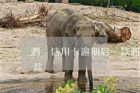 泗縣信用卡逾期后還款(泗縣信用卡逾期后還款)