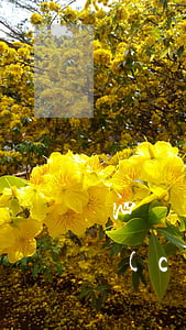 泗陽(yáng)處理離婚財(cái)產(chǎn)糾紛律師哪里找